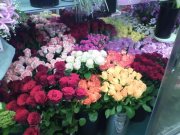 「花の秀花園」　（愛知県名古屋市天白区）の花屋店舗写真3
